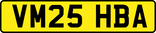 VM25HBA