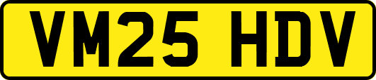 VM25HDV
