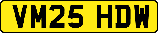 VM25HDW