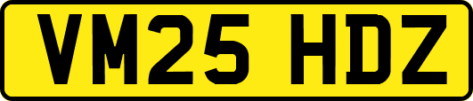 VM25HDZ