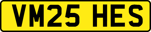 VM25HES