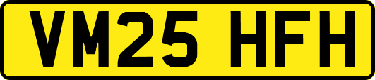 VM25HFH