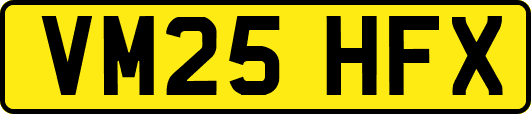 VM25HFX