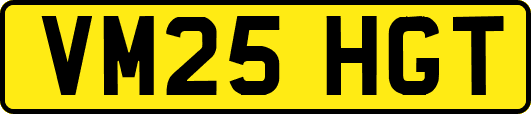 VM25HGT
