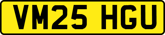 VM25HGU
