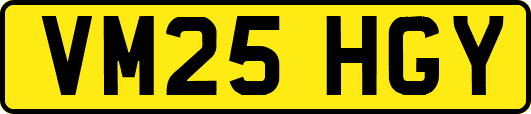 VM25HGY
