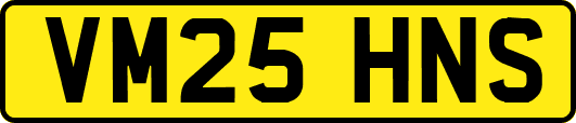 VM25HNS