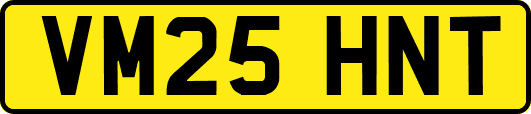 VM25HNT