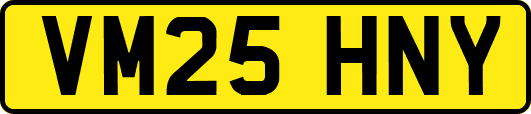 VM25HNY