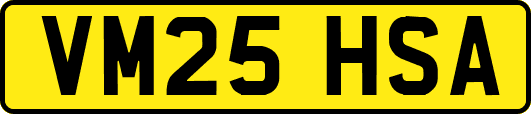 VM25HSA