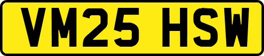 VM25HSW