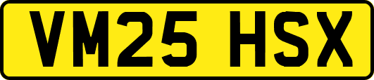 VM25HSX