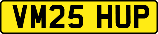 VM25HUP