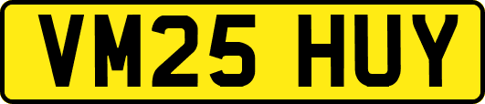 VM25HUY