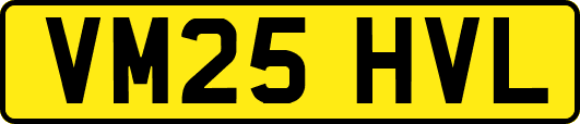 VM25HVL