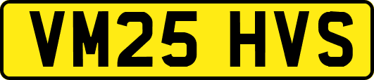 VM25HVS