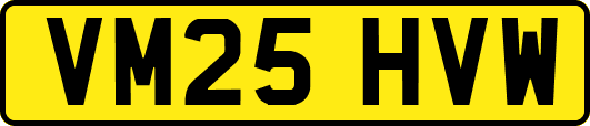 VM25HVW