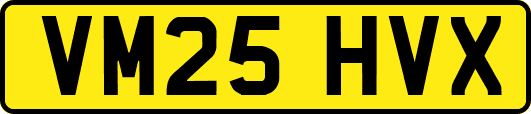 VM25HVX
