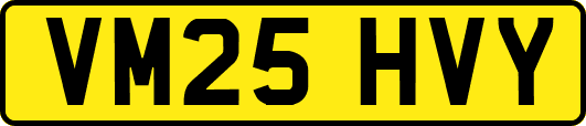 VM25HVY