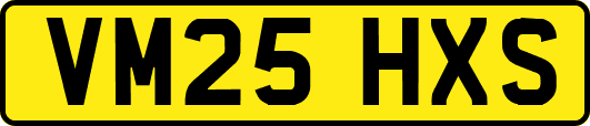 VM25HXS