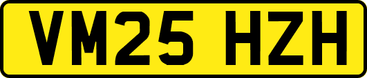 VM25HZH