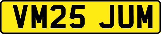 VM25JUM