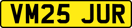 VM25JUR