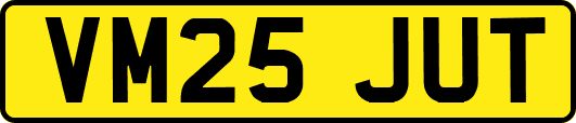 VM25JUT