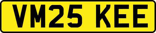 VM25KEE