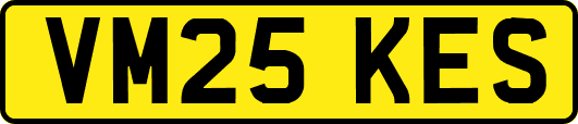VM25KES