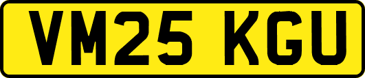 VM25KGU