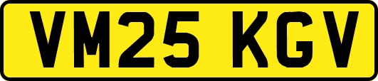 VM25KGV