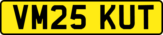 VM25KUT