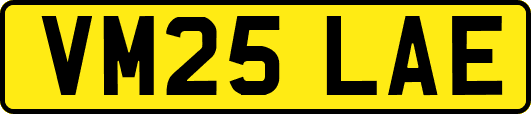 VM25LAE