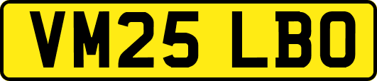 VM25LBO