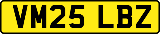VM25LBZ