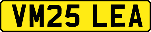 VM25LEA