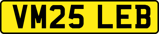 VM25LEB
