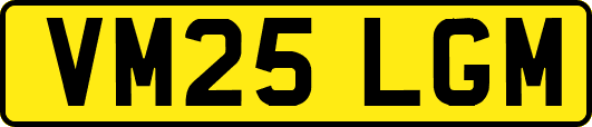 VM25LGM