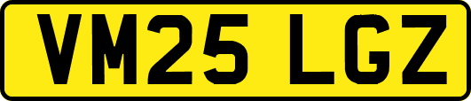 VM25LGZ