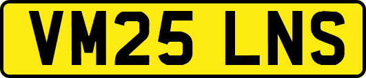 VM25LNS