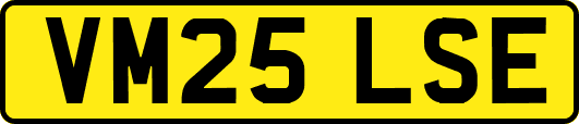 VM25LSE