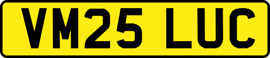 VM25LUC