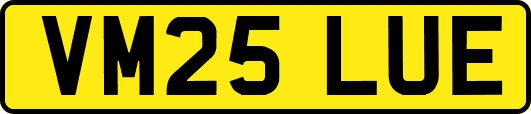 VM25LUE