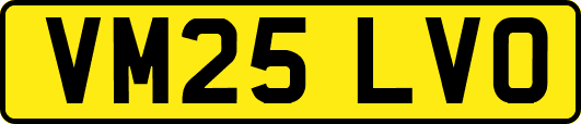 VM25LVO