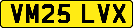 VM25LVX
