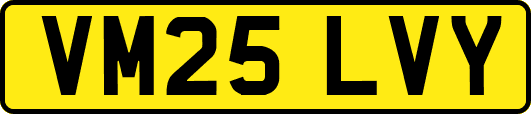 VM25LVY