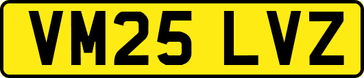 VM25LVZ