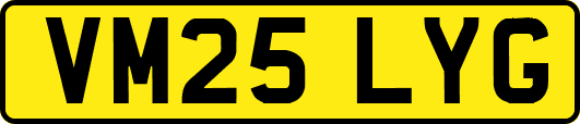 VM25LYG