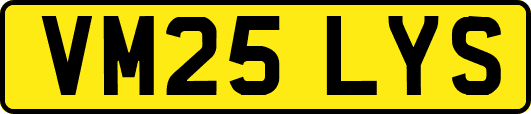 VM25LYS